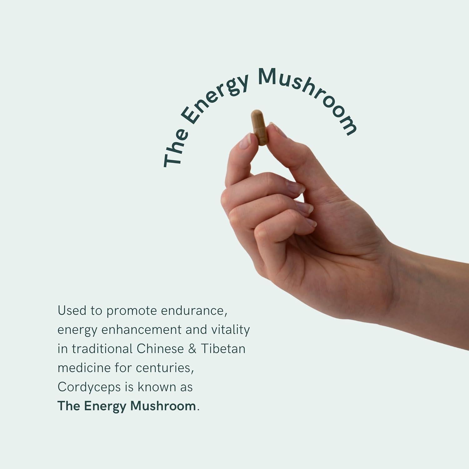 Cápsulas de Hongo Cordyceps Dr. Sosnowski 1000mg 120 Unidades