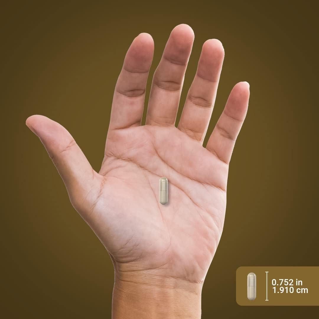 Suplemento de Pygeum Piping Rock 100mg 240 Cápsulas No-OGM