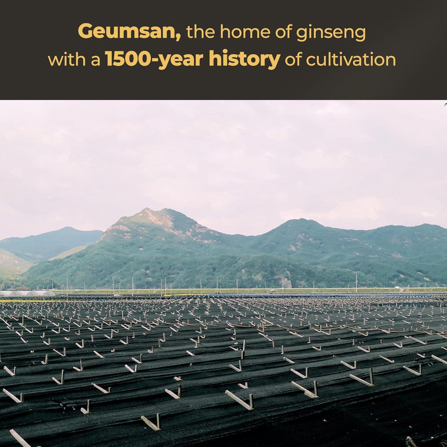 Cápsulas de Ginseng Negro Panax Coreano 1000mg - 90 Veganas