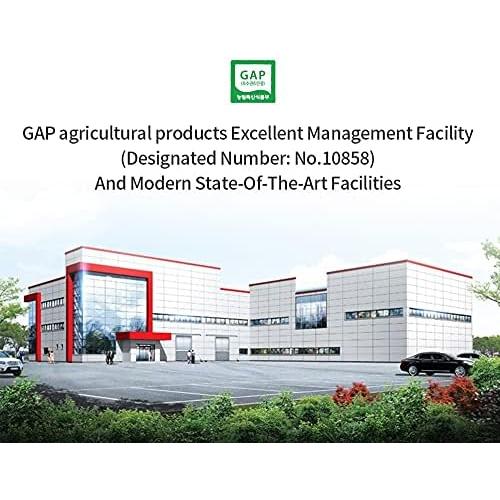 Tónico de Ginseng Negro Coreano GeumHeuk 50ml x 30 Bolsitas