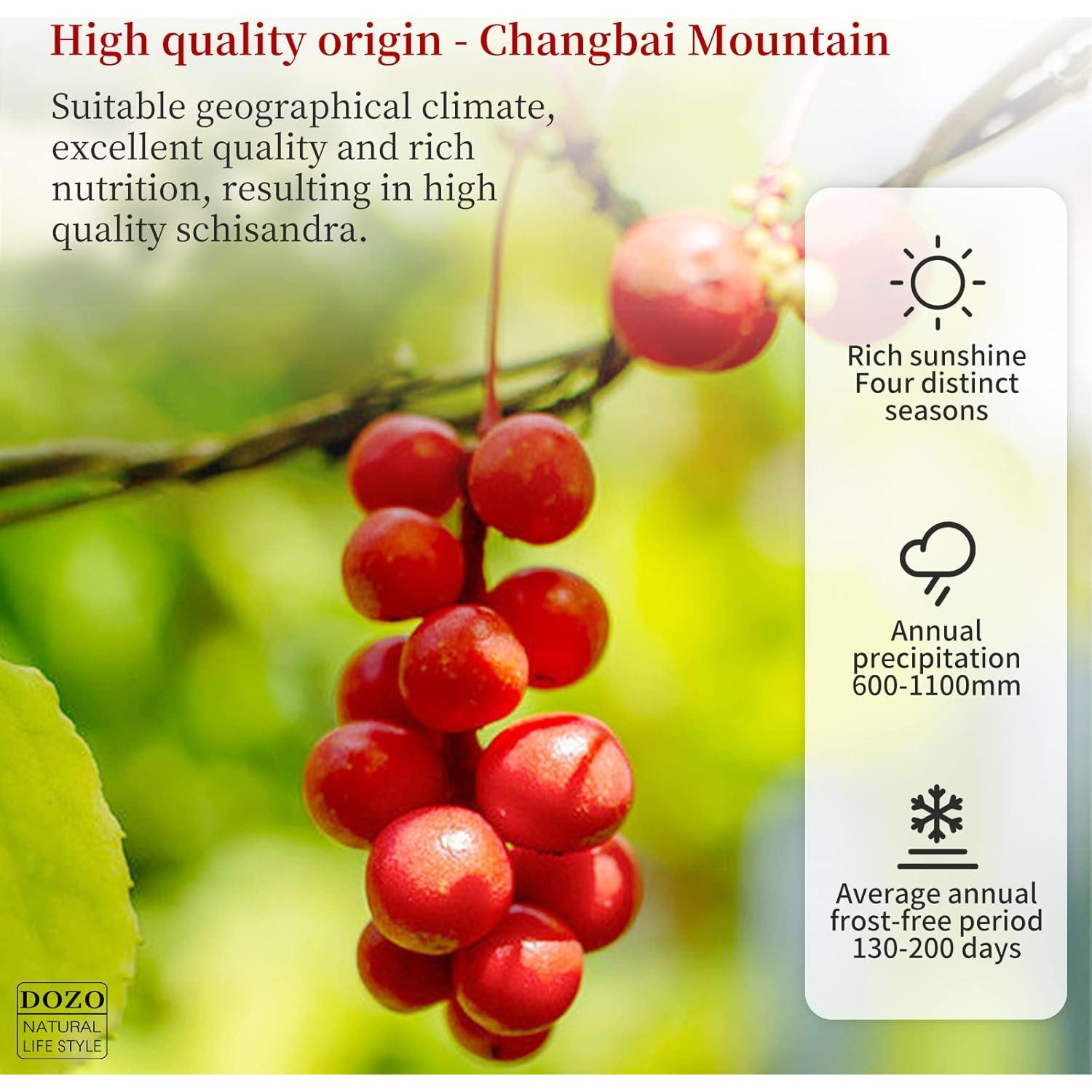 Té de Schisandra DOZO 220g - Baya de Wu Wei Zi Natural