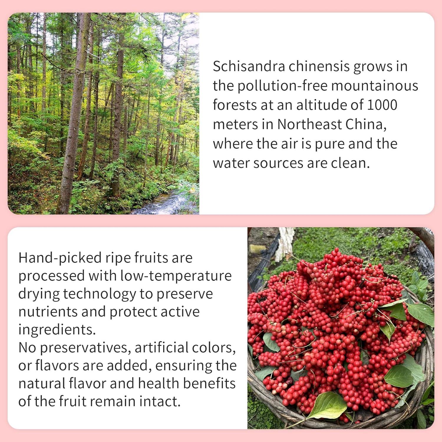 Té de Baya de Schisandra Natural Wanhua Hall 300g Sin Cafeína