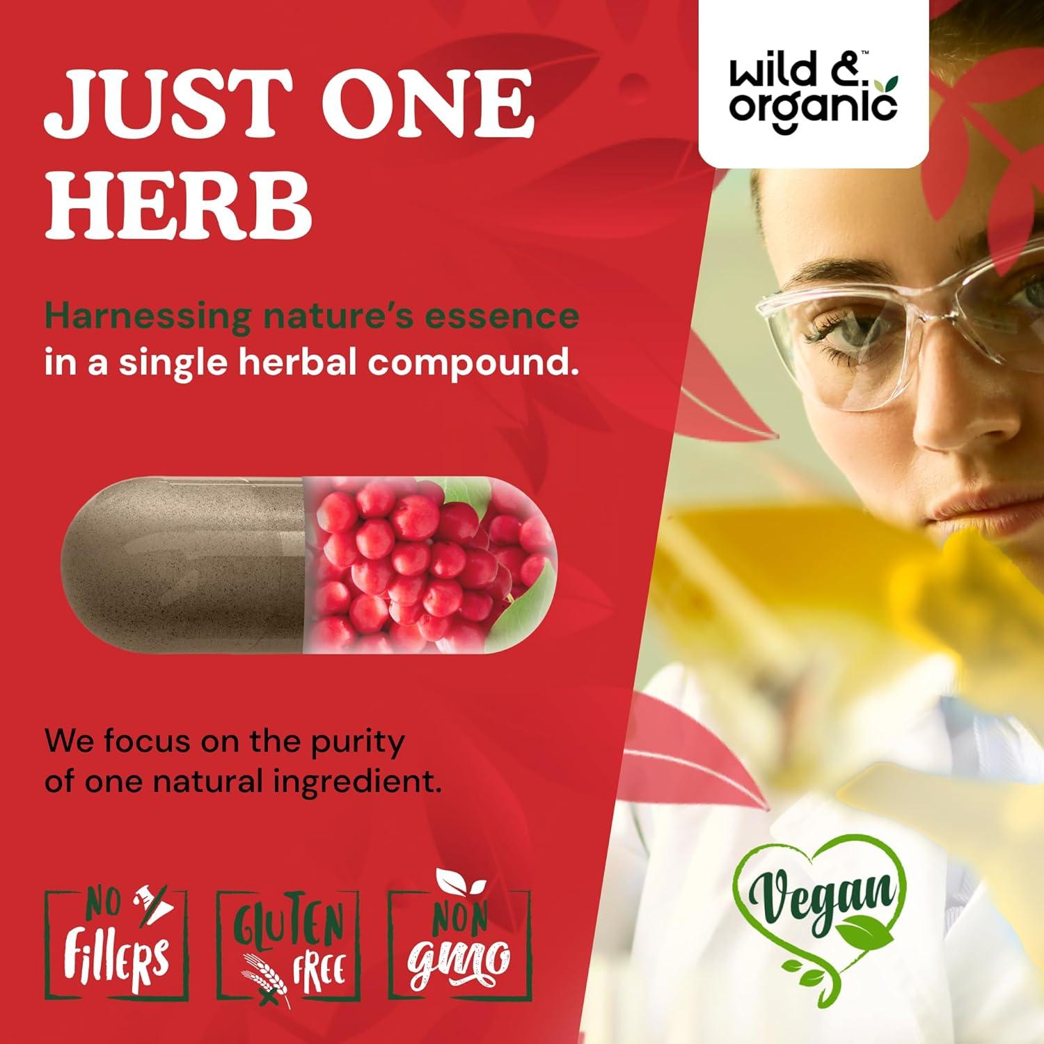 Cápsulas de Schisandra Silvestre Orgánica 60 Caps - Apoyo a la Calma