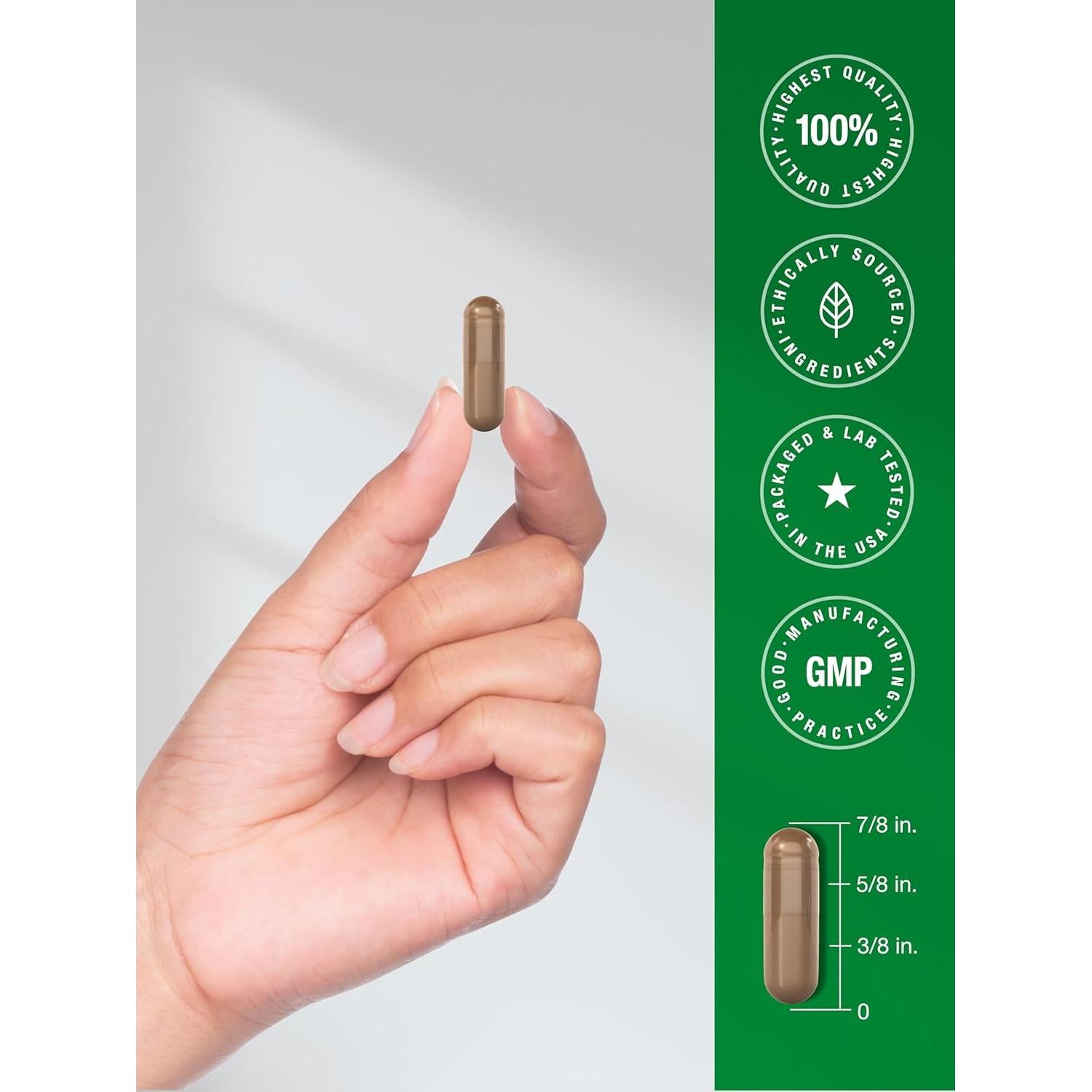 Cápsulas de Hongo Reishi Horbaach 200 Unidades 1000 mg