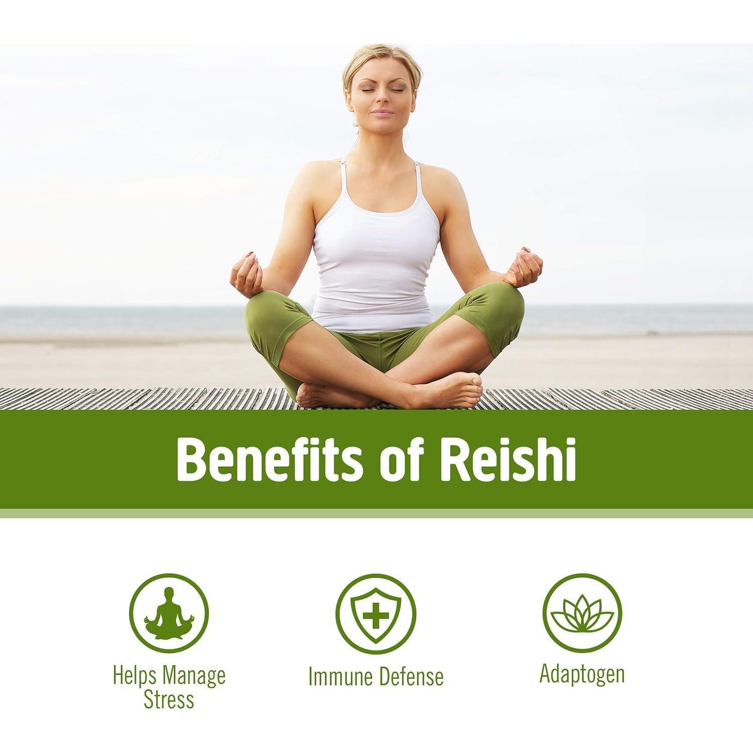 Polvo de Hongo Reishi Orgánico OM 99.22g - Adaptógeno Inmunológico