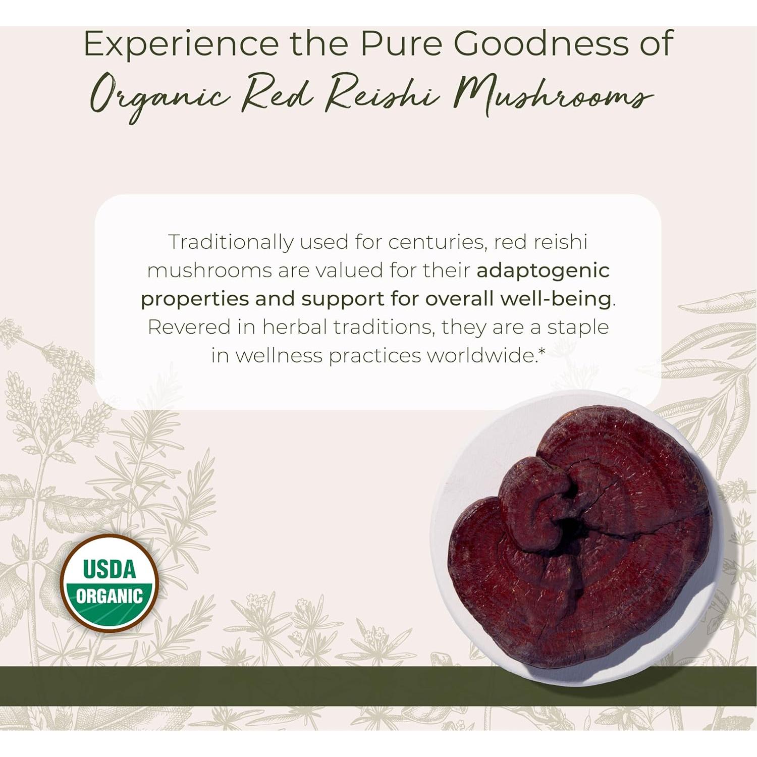 Champiñones Reishi Rojos Orgánicos Starwest 113 g - Ganoderma Lucidum