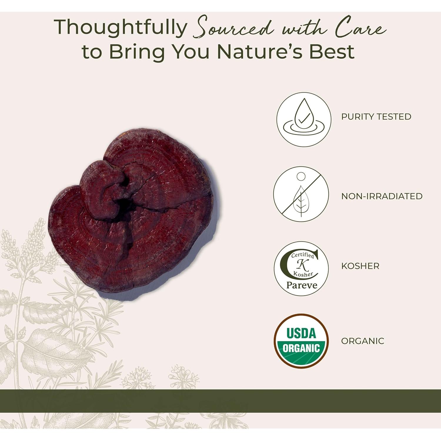 Champiñones Reishi Rojos Orgánicos Starwest 113 g - Ganoderma Lucidum