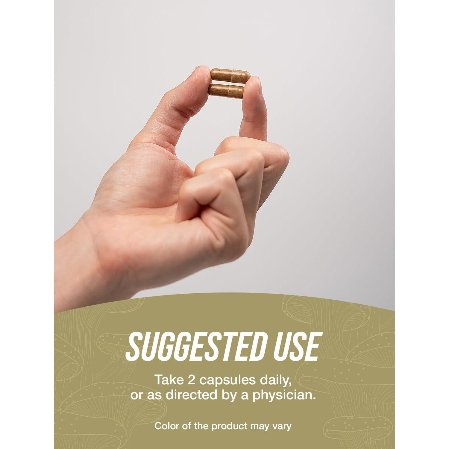 Cápsulas de Hongo Reishi BulkSupplements 1000mg - 240 Veganas