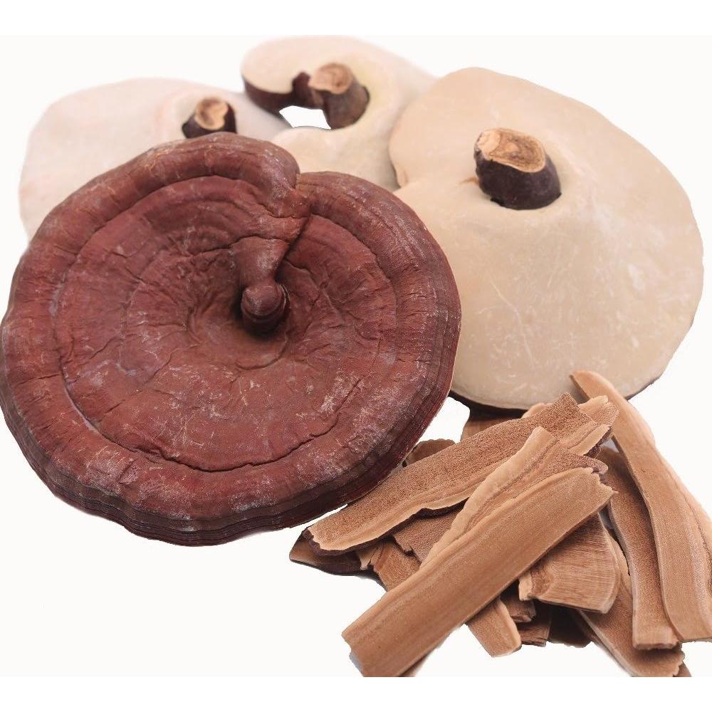 Hongos Reishi Secos Nature Tea 0.45 kg - Producto de Japón