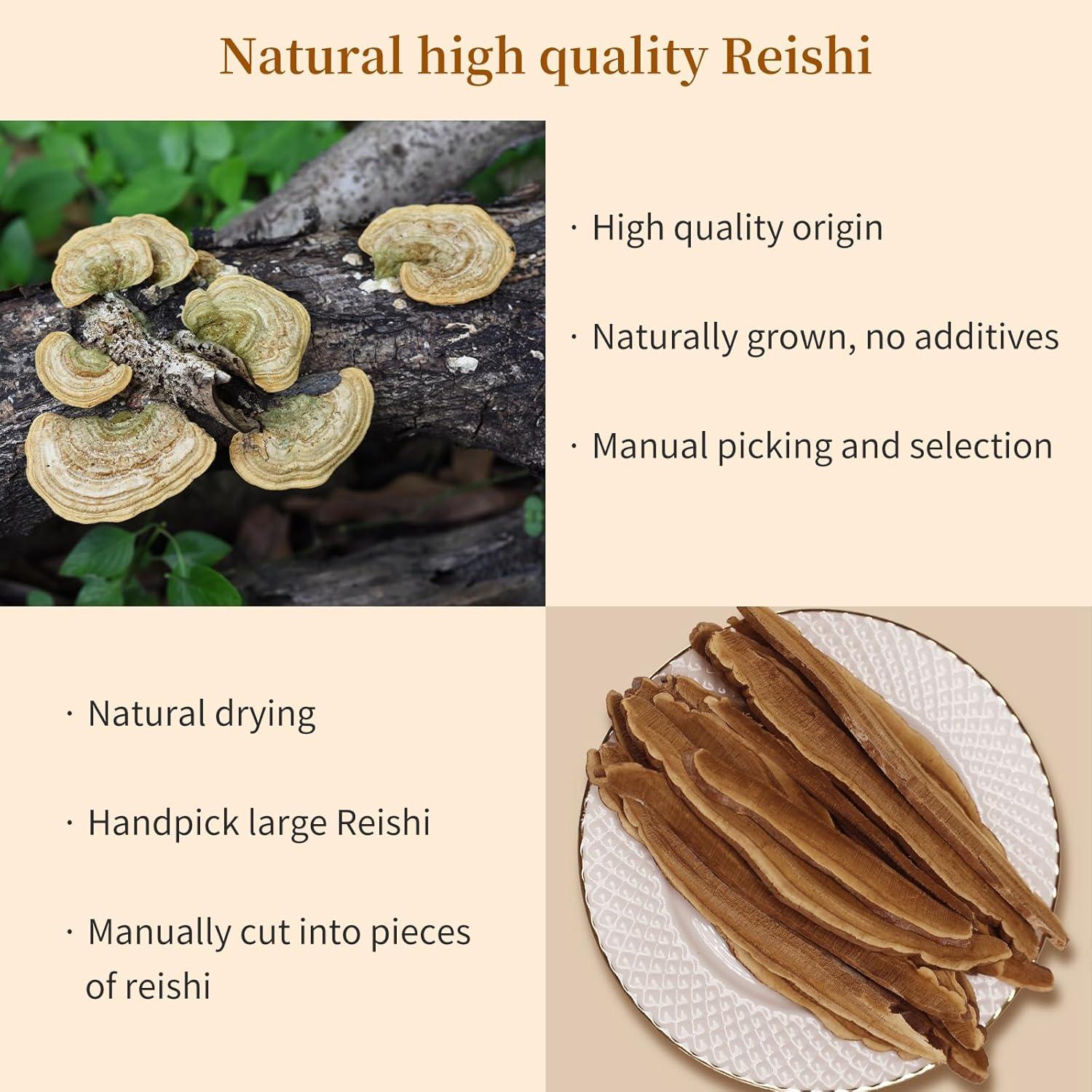 Té de Hongo Reishi Seco 120g - Lingzhi Rojo Ganoderma Lucidum