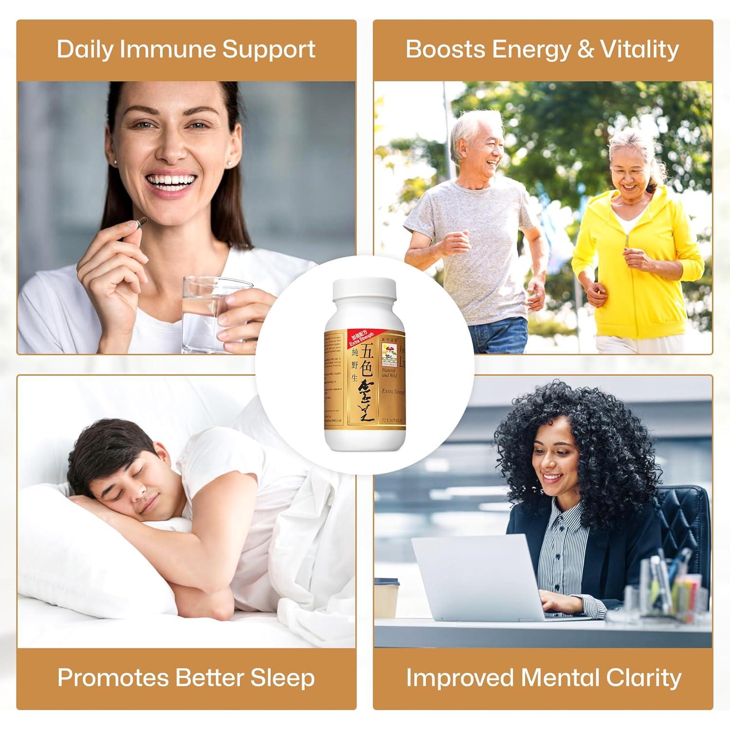 Cápsulas de Hongo Reishi Vita Green - Energía y Inmunidad - 72 Unidades