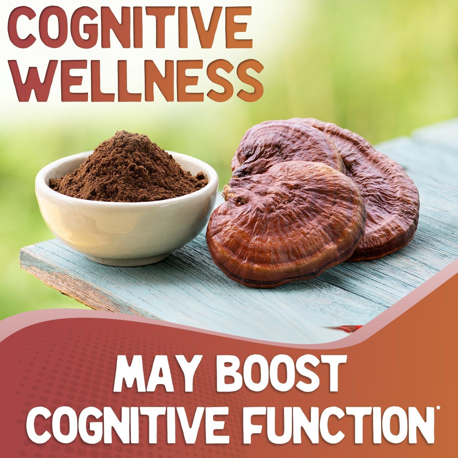 Polvo de Hongo Reishi Rojo Orgánico XPRS Nutra 113.4g