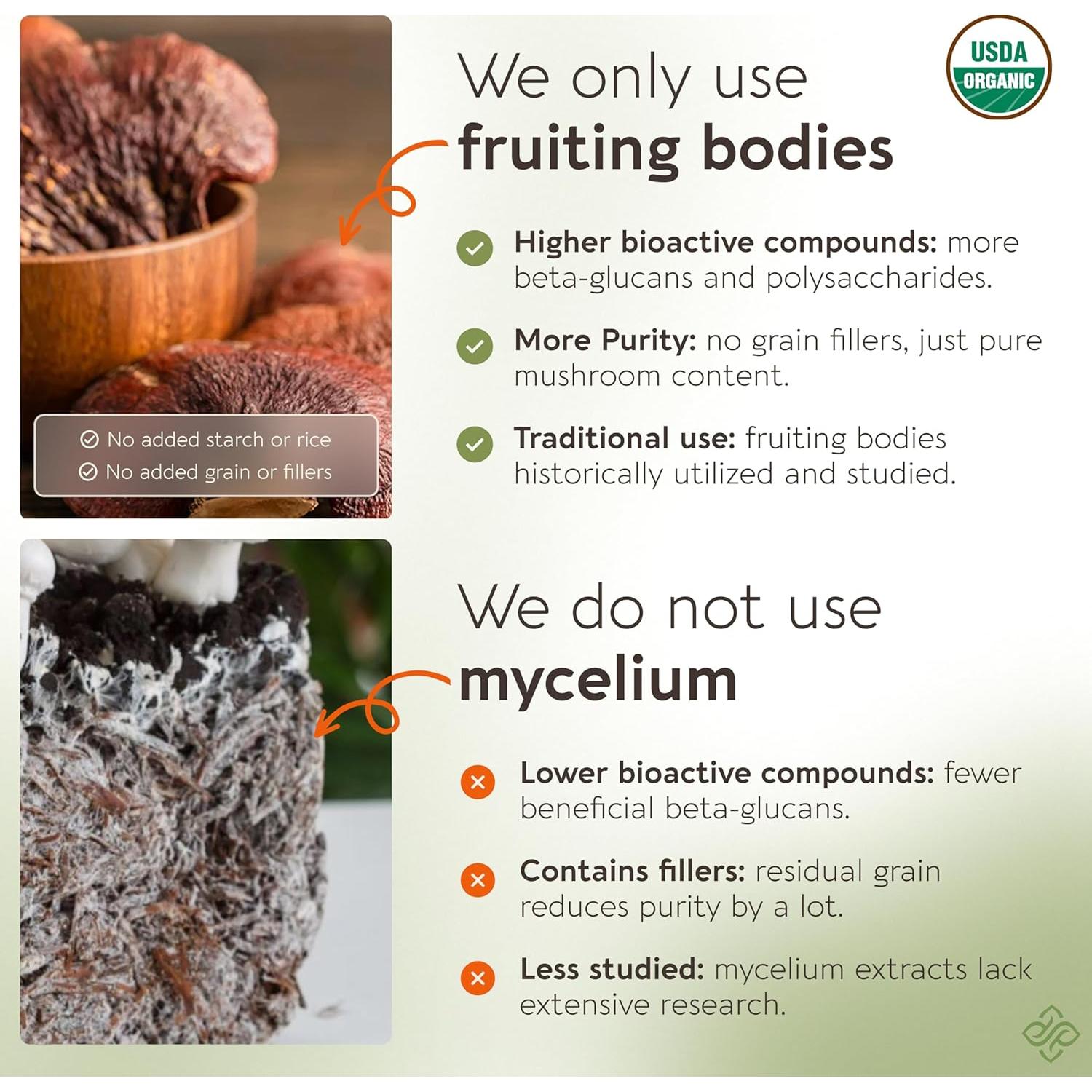 Cápsulas de Hongo Reishi Orgánico Longevity Botanicals 120 Unidades