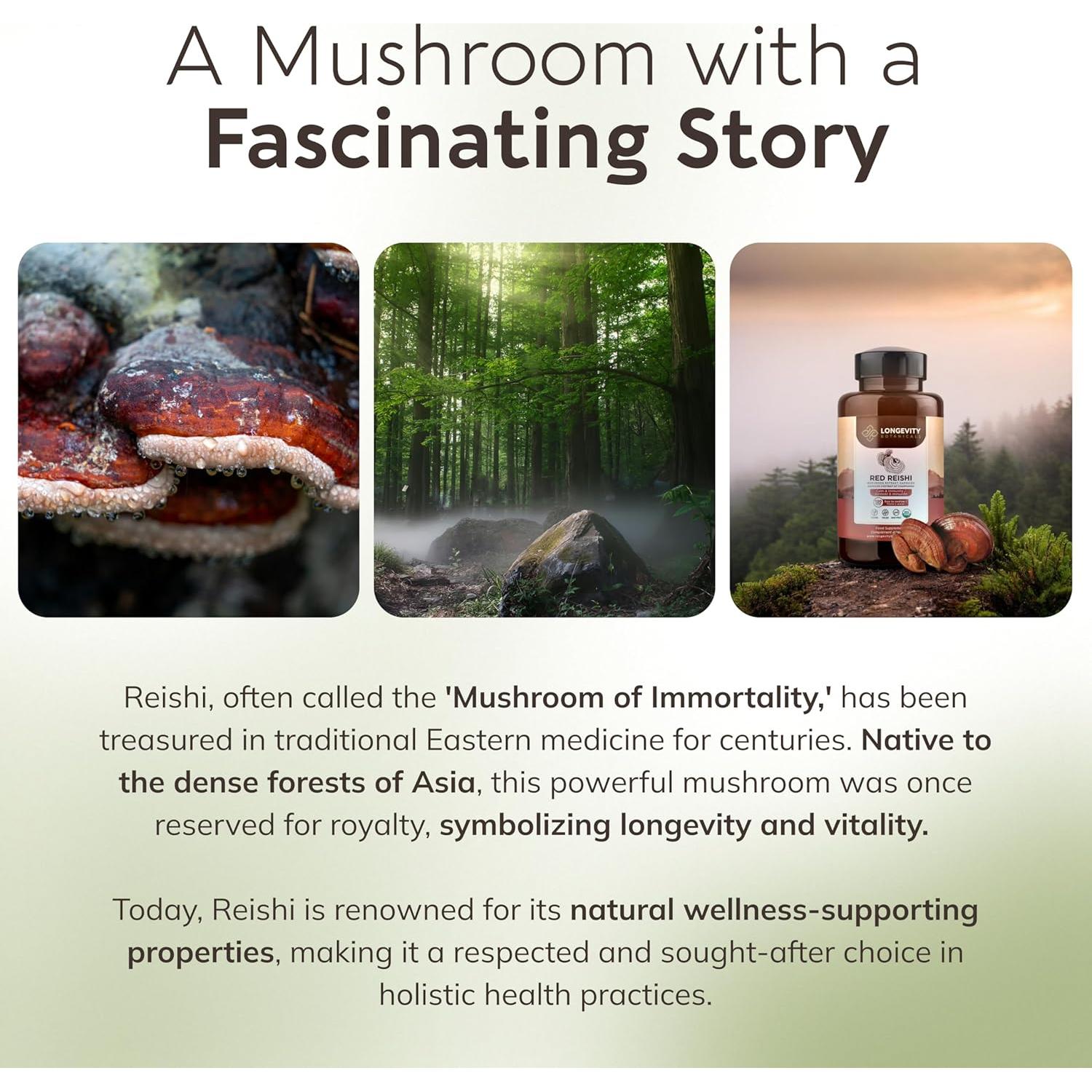 Cápsulas de Hongo Reishi Orgánico Longevity Botanicals 120 Unidades