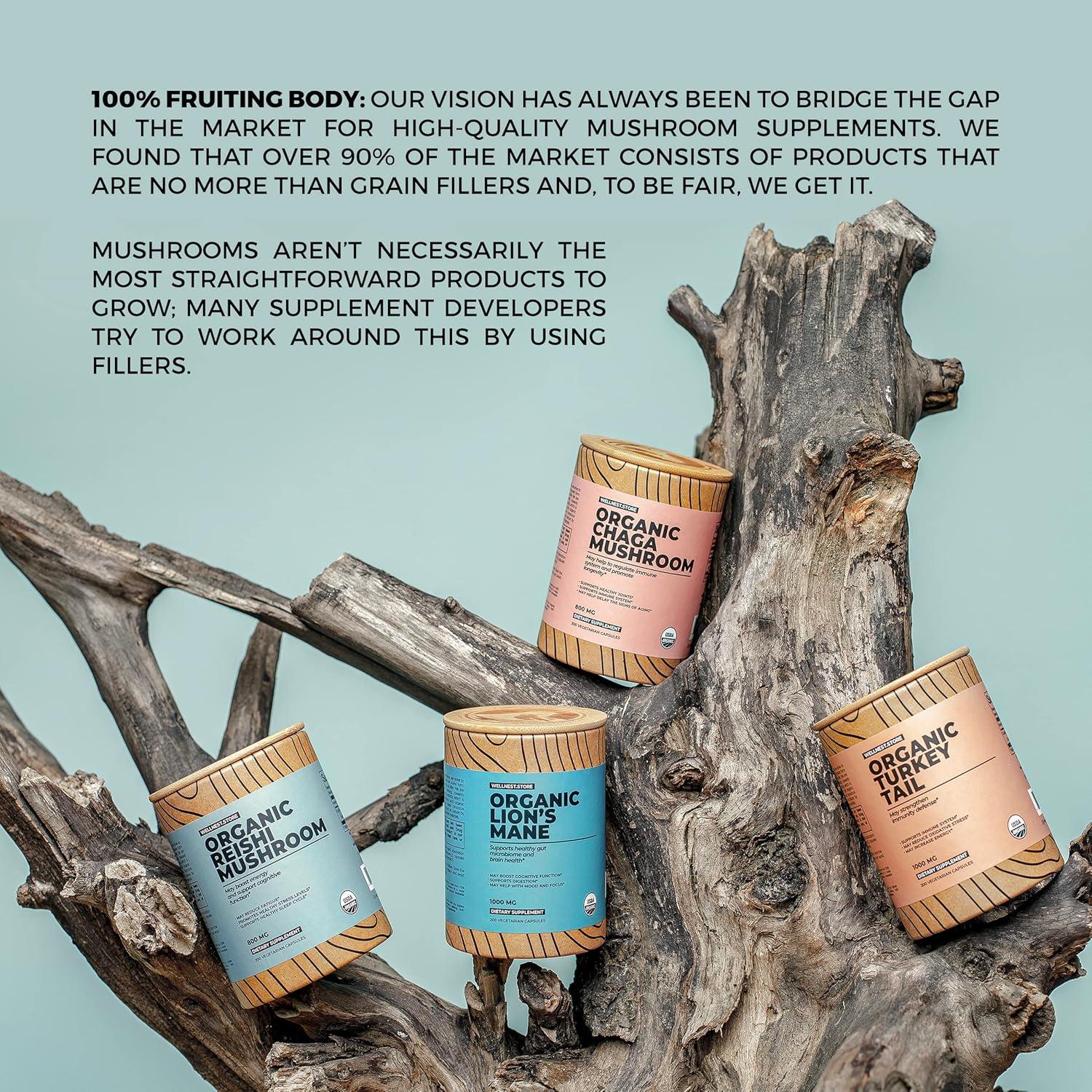 Suplemento de Hongo Reishi Orgánico 60 Cápsulas - Ganoderma