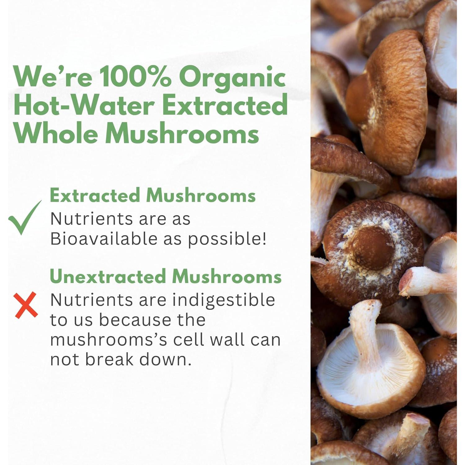 Cápsulas de Champiñones Orgánicos HCL - 7 Variedades Potentes