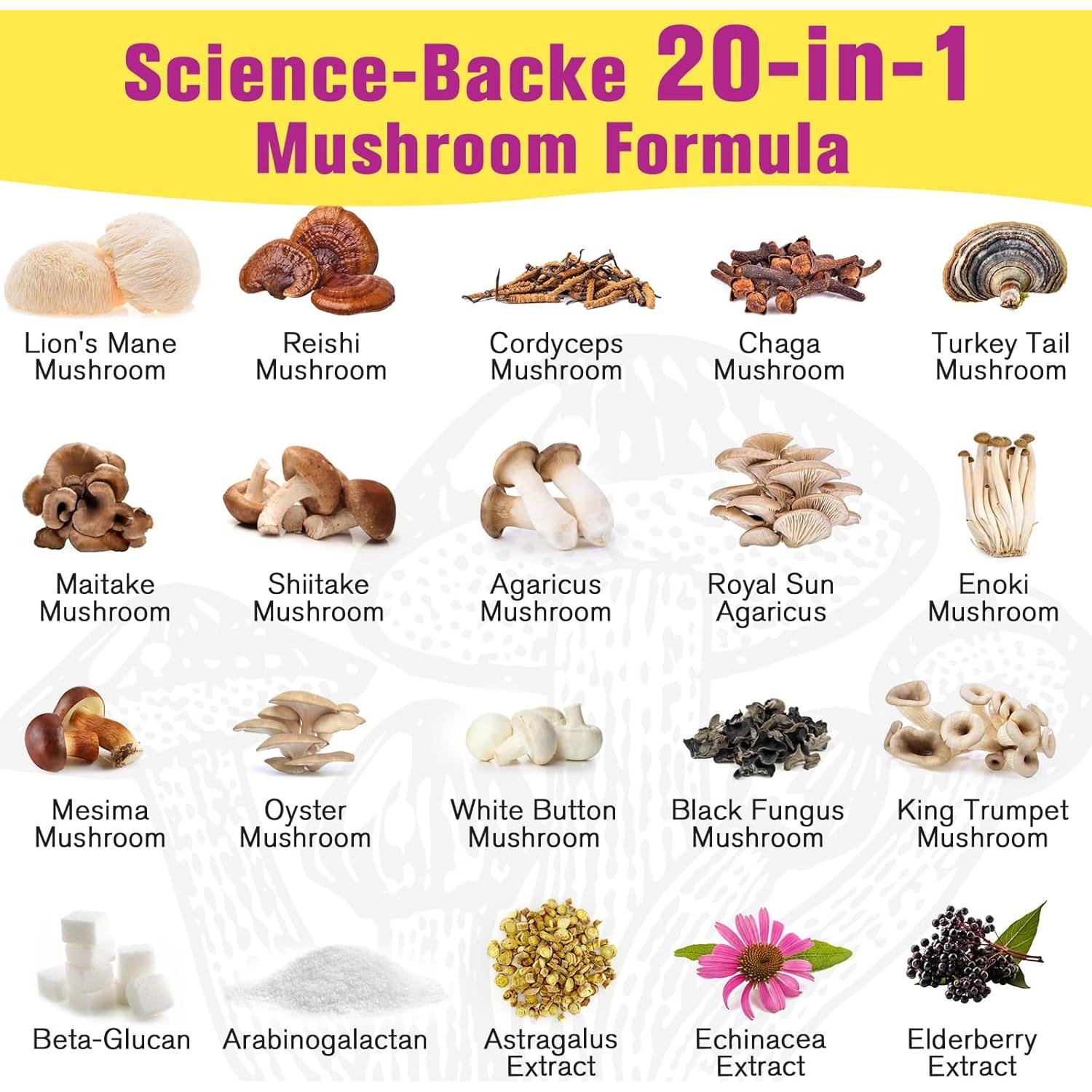 Polvo de Hongo Dmeisy 150 g - Suplemento Energía y Enfoque