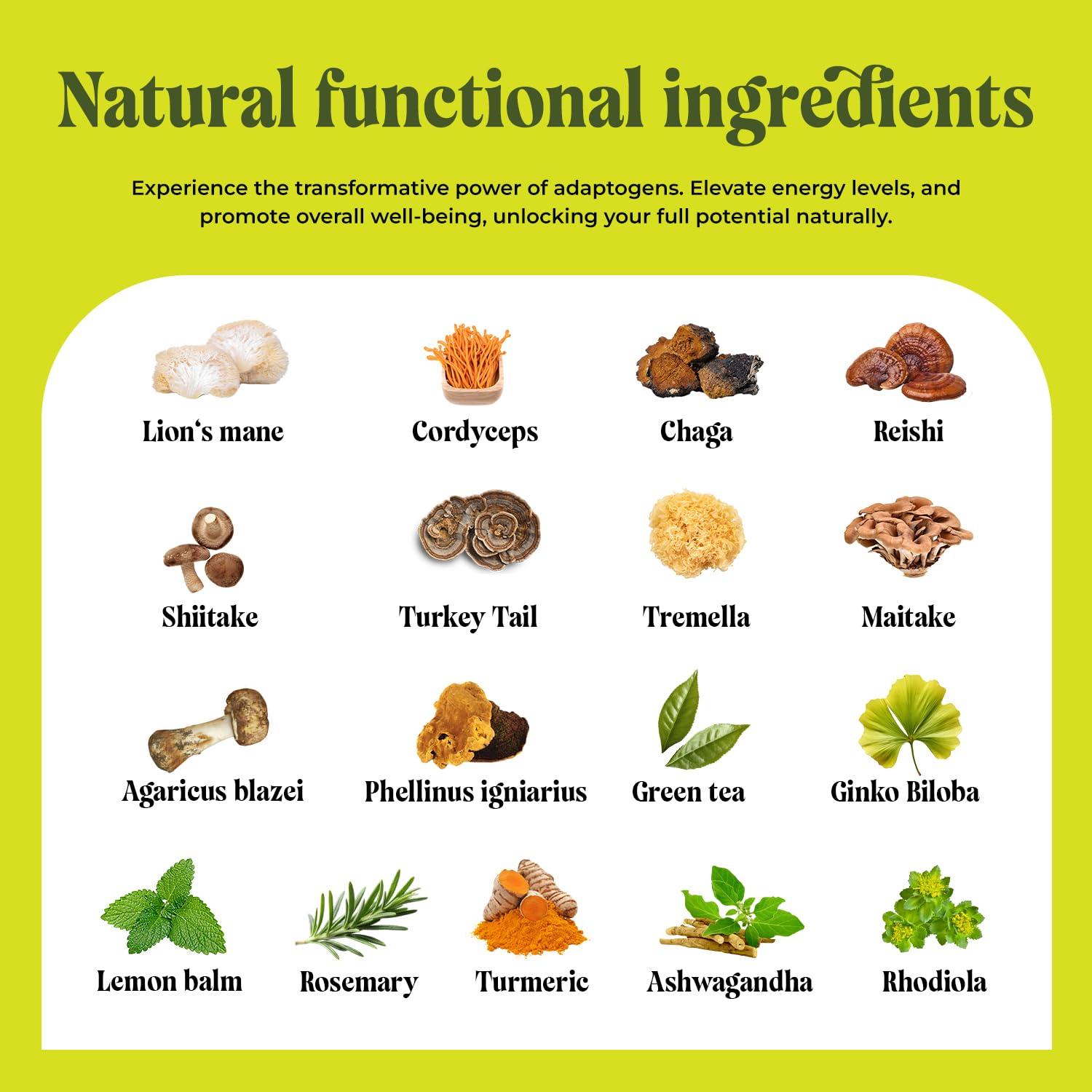 Té Adaptogénico Sin Cafeína Shroomzup 20 Bolsitas 100% Natural