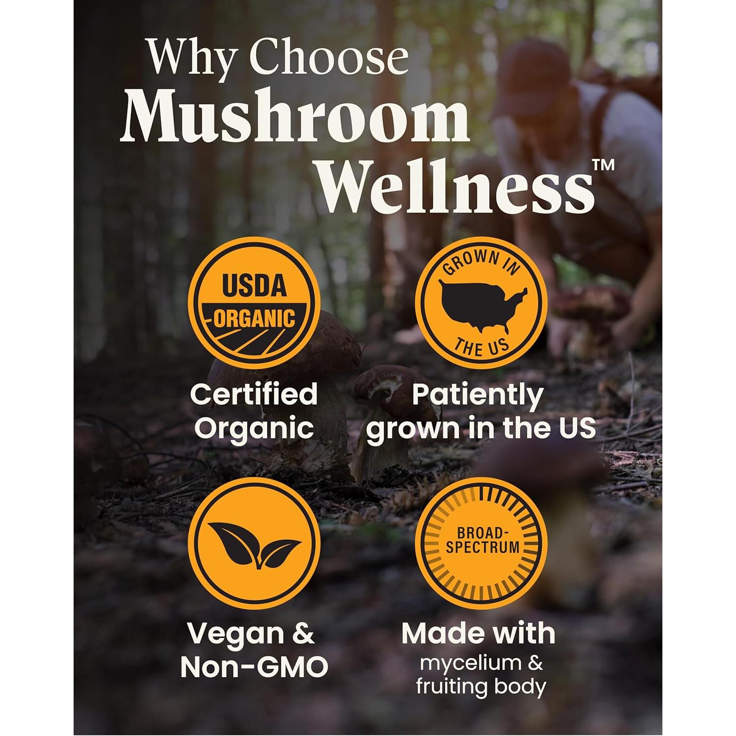 Cápsulas Orgánicas Everyday 10 Mushroom Wellness - 90 Unidades