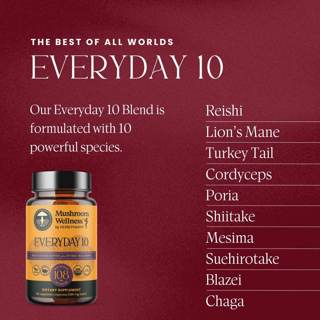 Cápsulas Orgánicas Everyday 10 Mushroom Wellness - 90 Unidades