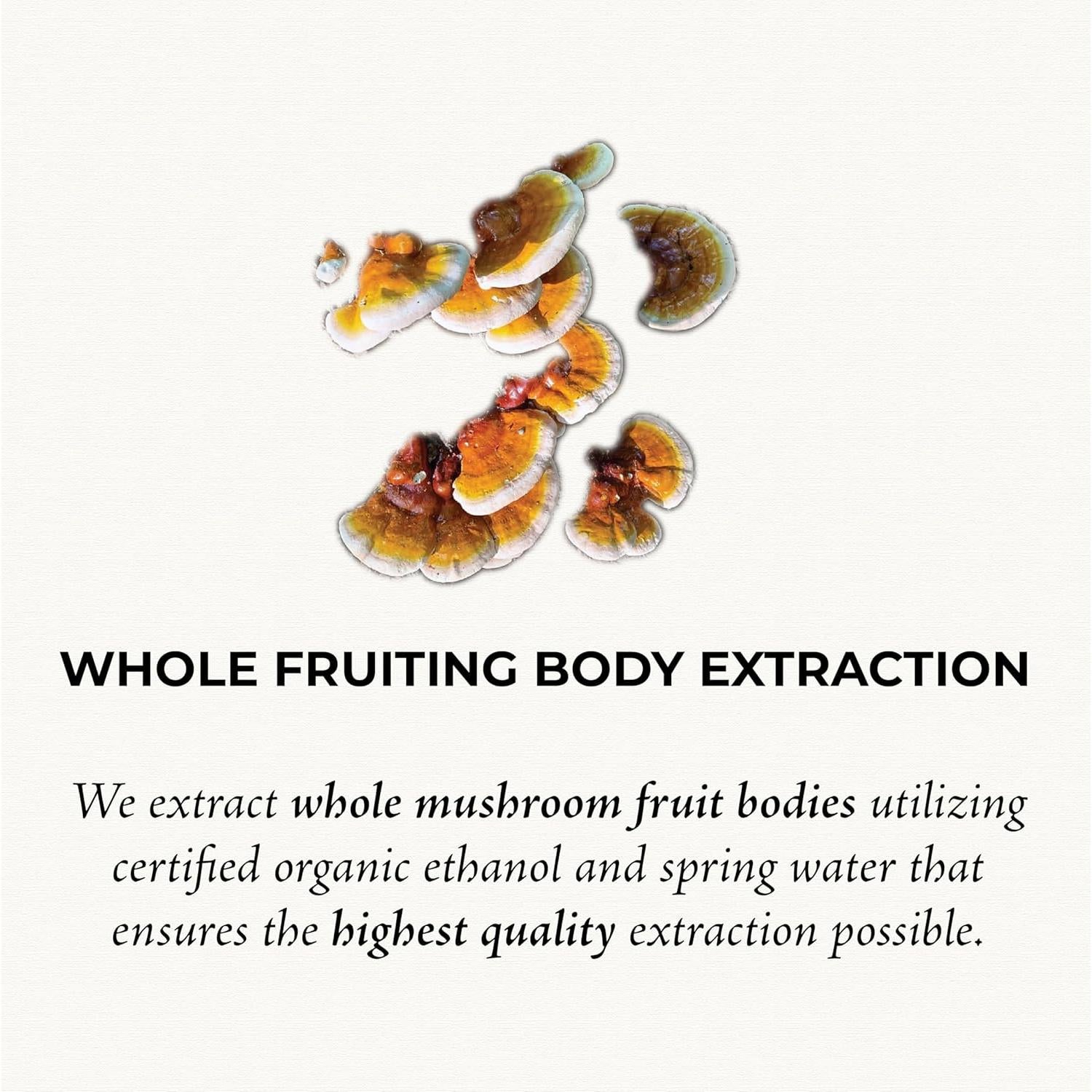 Tintura de Hongo Reishi GO Mushrooms 60 Porciones 60ml