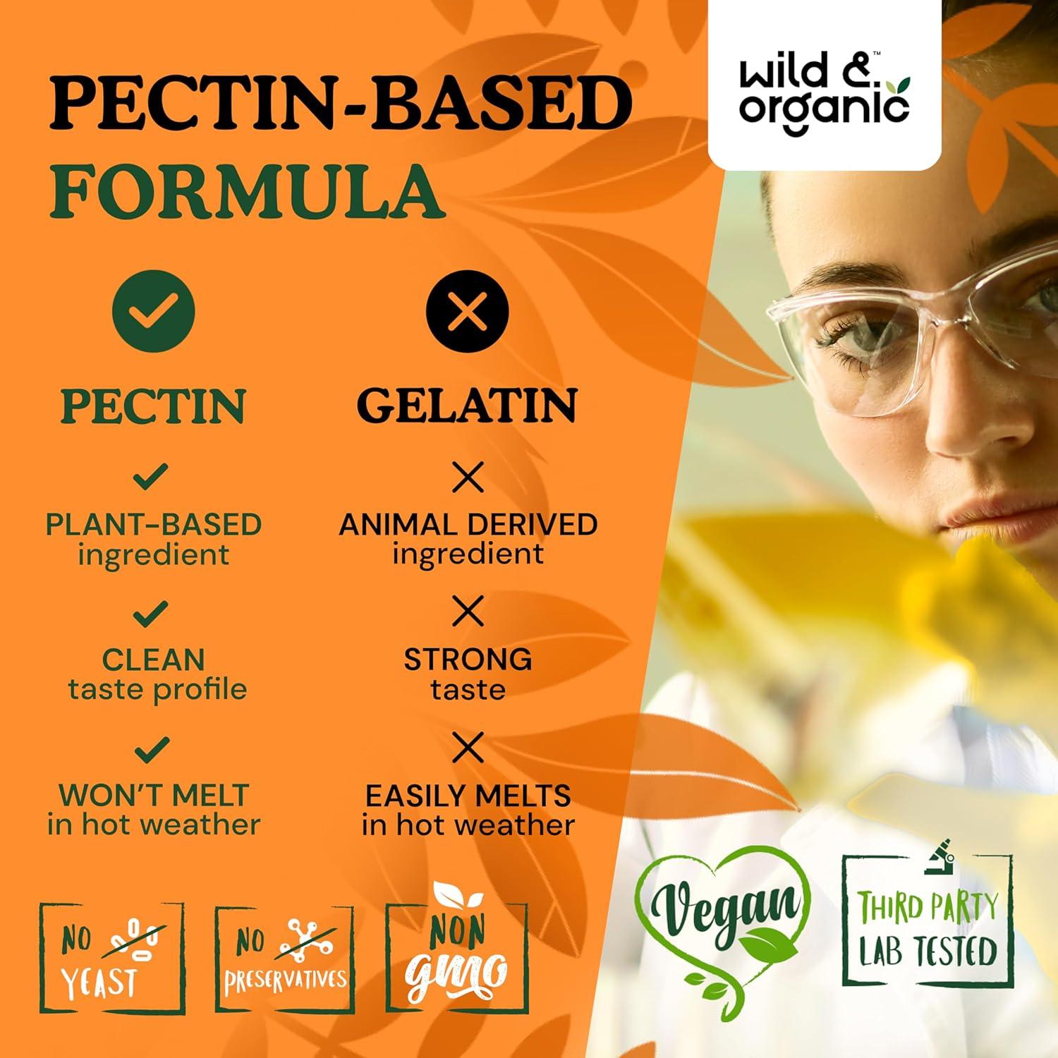 Gomitas de Hongo Reishi Silvestre y Orgánico 1000 mg - 60 Masticables