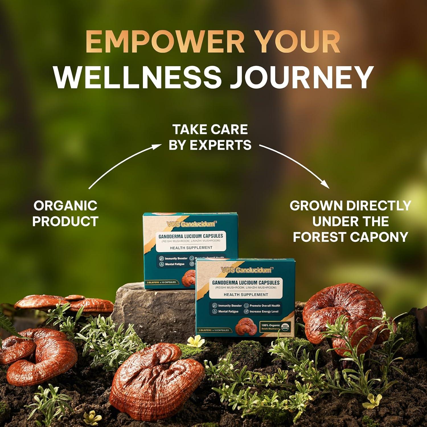 Cápsulas de Hongo Reishi Rojo Ganoderma lucidum 70mg 30 Unidades