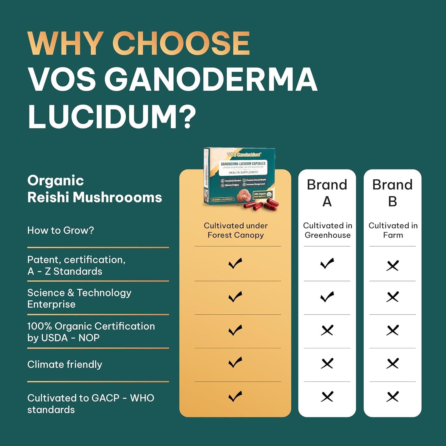 Cápsulas de Hongo Reishi Rojo Ganoderma lucidum 70mg 30 Unidades