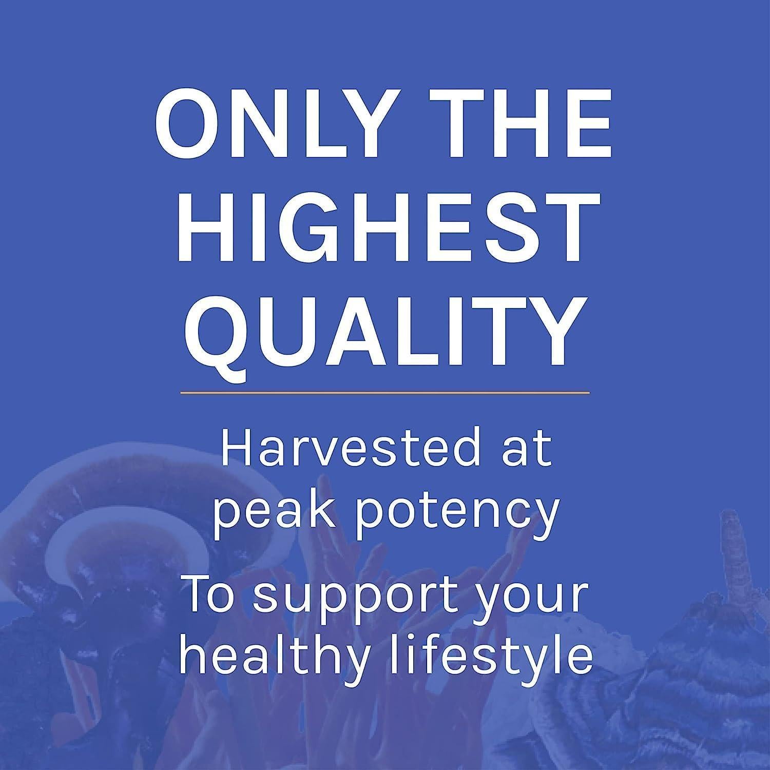 Suplemento de Hongo Host Defense Stamets 7 - 99.22 g