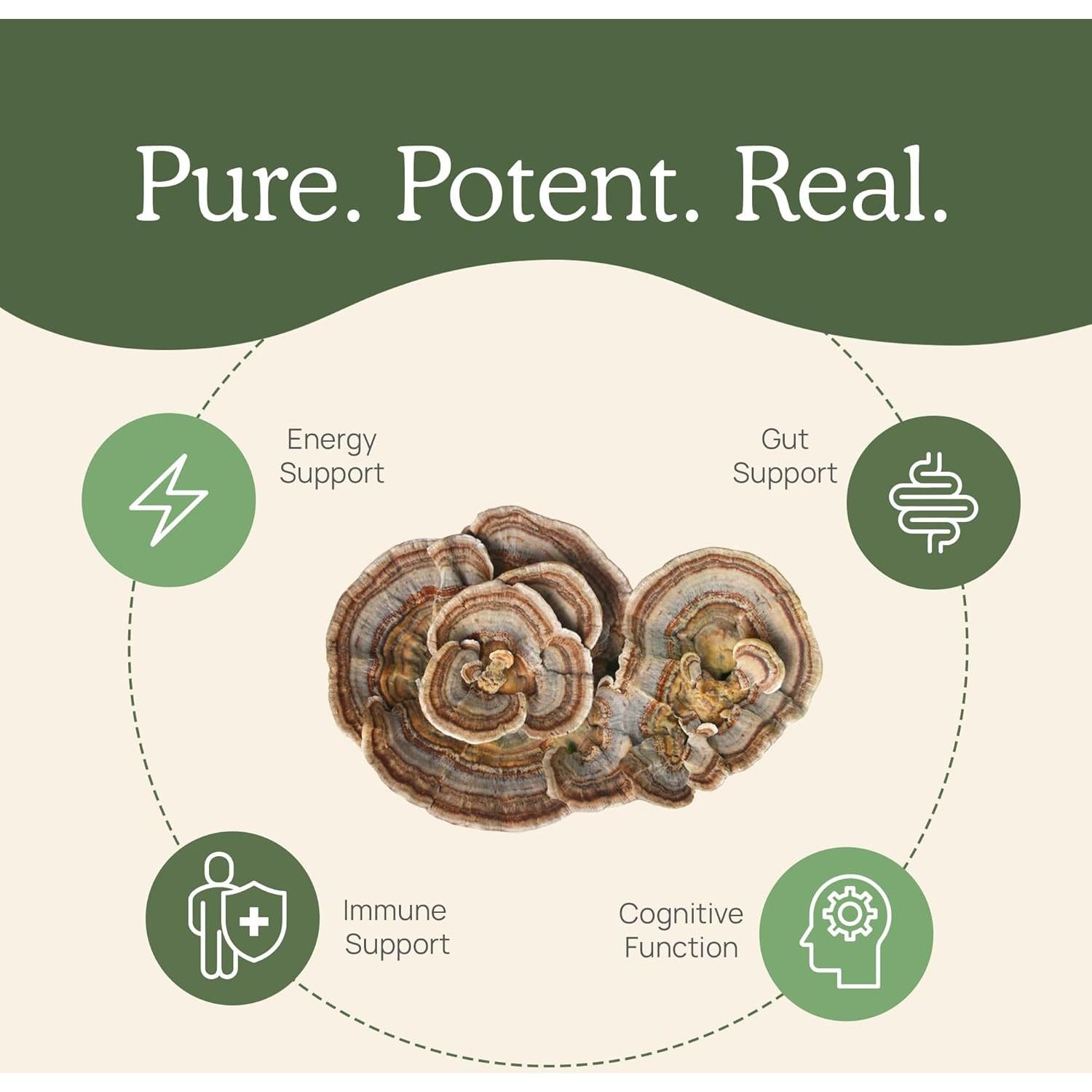 Cápsulas de Cola de Pavo Orgánico - 90 Unidades - Hongos Reales