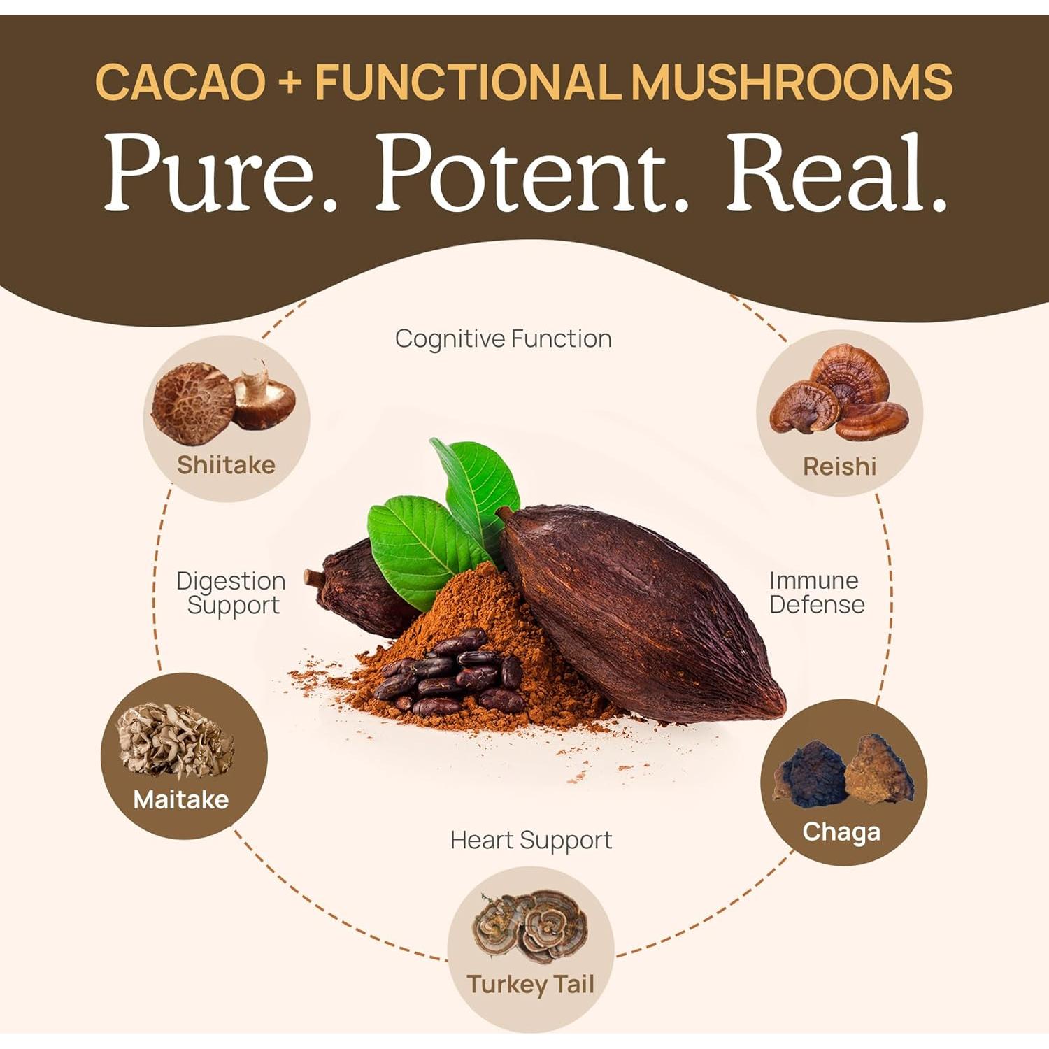 Mezcla de Chocolate Caliente Sin Azúcar Real Mushrooms 240g