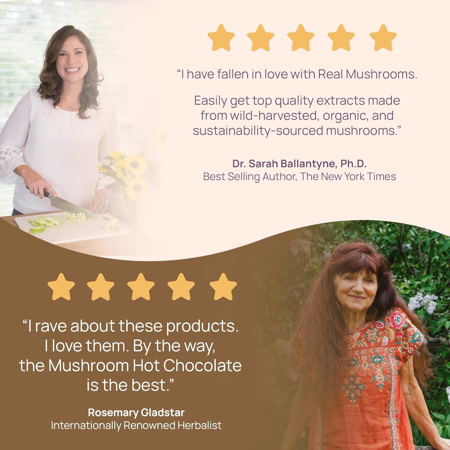 Mezcla de Chocolate Caliente Sin Azúcar Real Mushrooms 240g