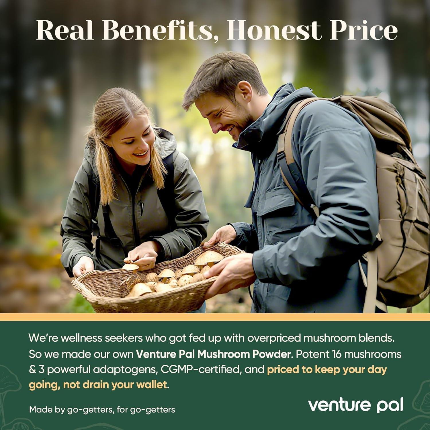 Polvo de Hongo 17300mg Venture Pal con Adaptógenos 180g