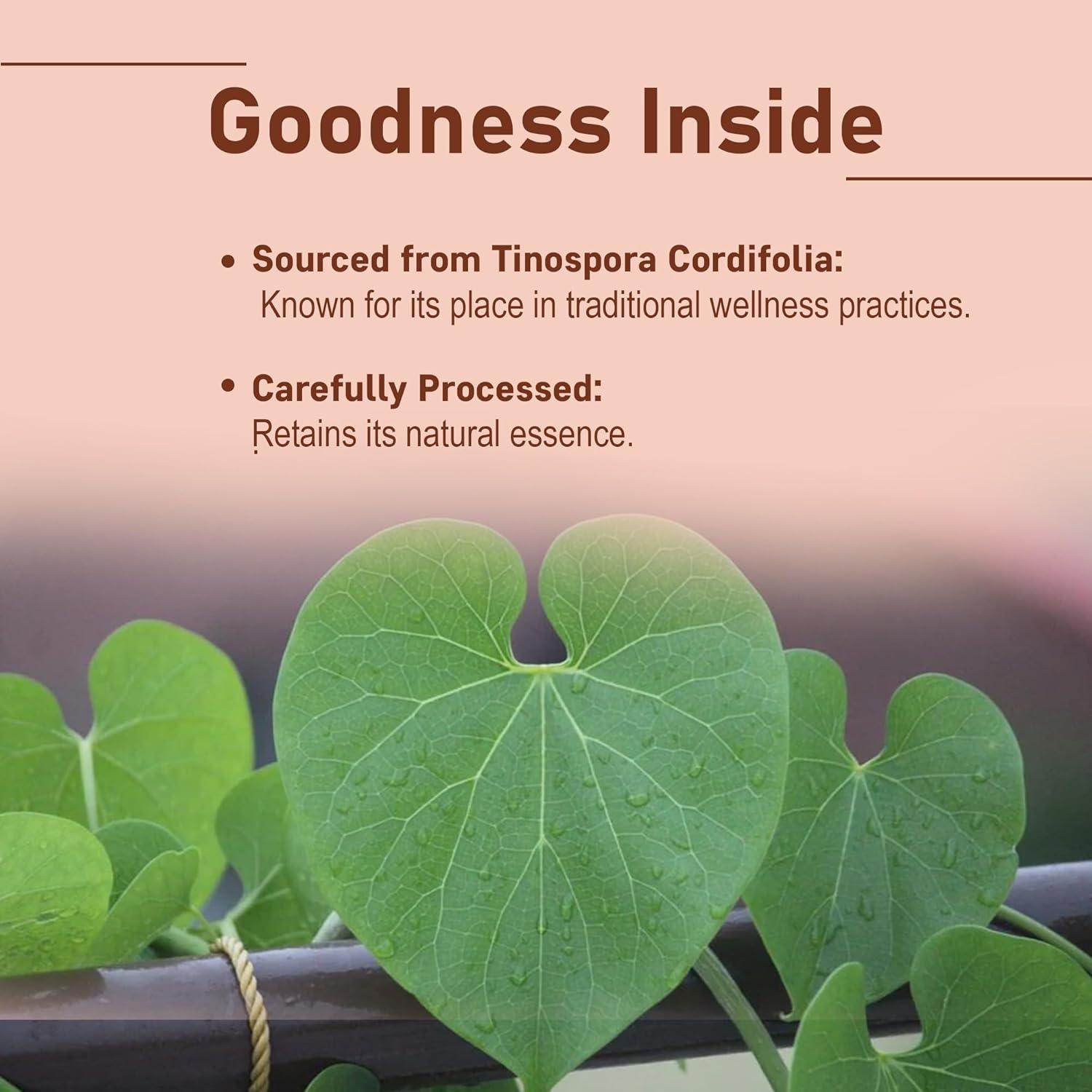 Polvo de Guduchi 227g - Mi Nature - Apoya Digestión y Inmunidad