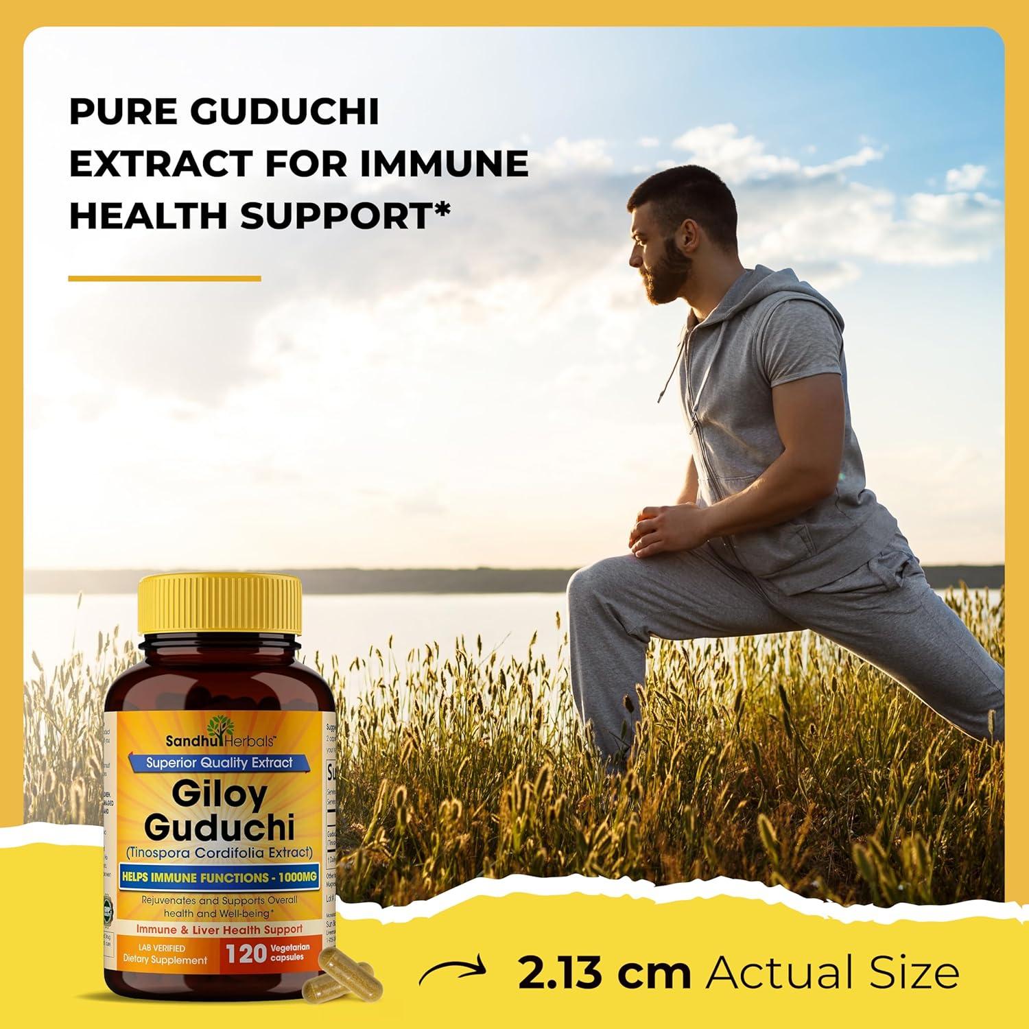 Polvo de Giloy Orgánico Sandhu Herbals 120 Cápsulas Suplemento