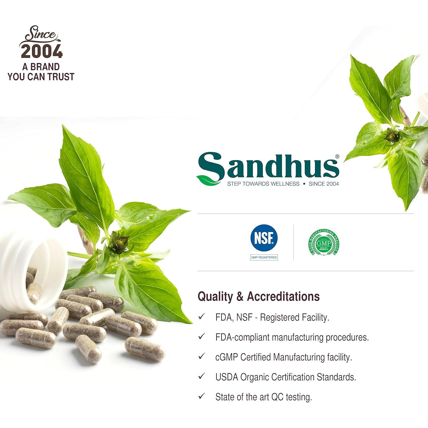 Cápsulas Vegetarianas Giloy Sandhu 1000mg 100 Unidades