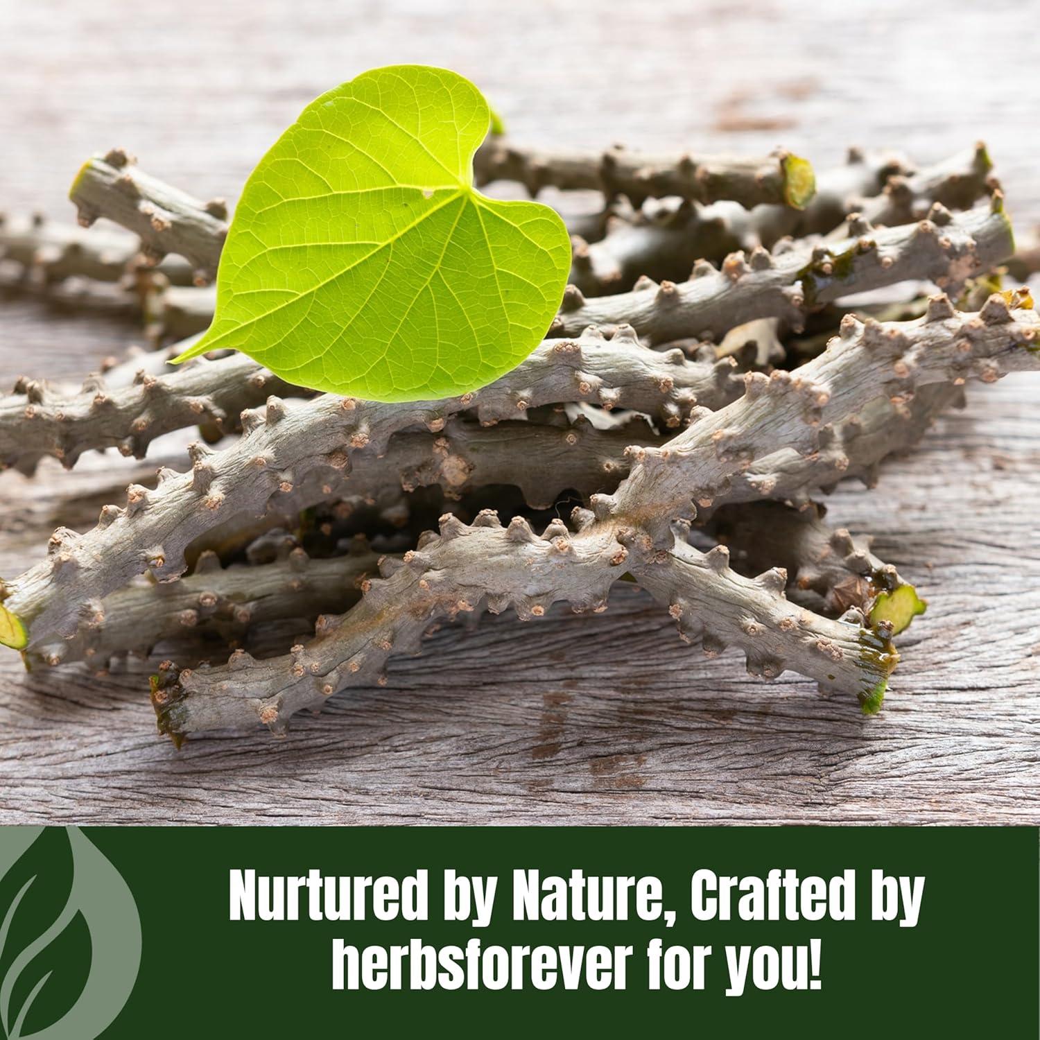 Polvo de Guduchi 230g | Tinospora Cordifolia | Suplemento Herbal