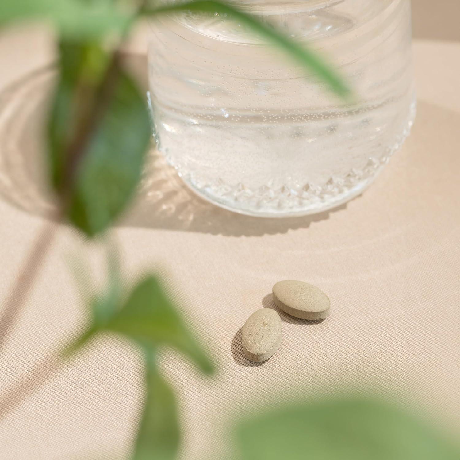 Suplemento Orgánico Mente Tranquila Banyan Botanicals 90 Tabletas