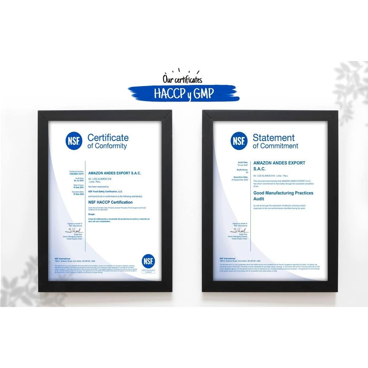 Cápsulas Blandas de Sacha Inchi Amazon Andes 60 Unidades 1000mg