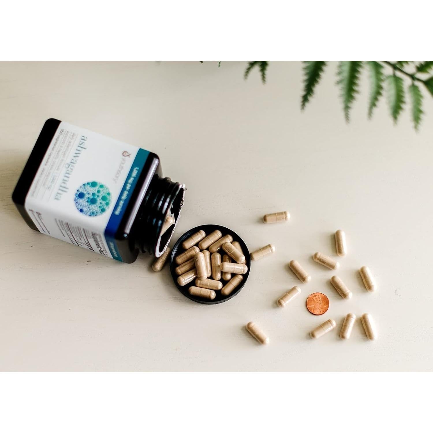 Suplemento Vegetariano Ashwagandha KSM-66 150 Cápsulas 1000mg