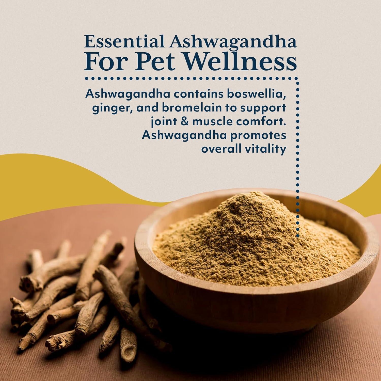 Cápsulas de Ashwagandha Ayush Pet 500mg para Perros y Gatos - 120 Unidades