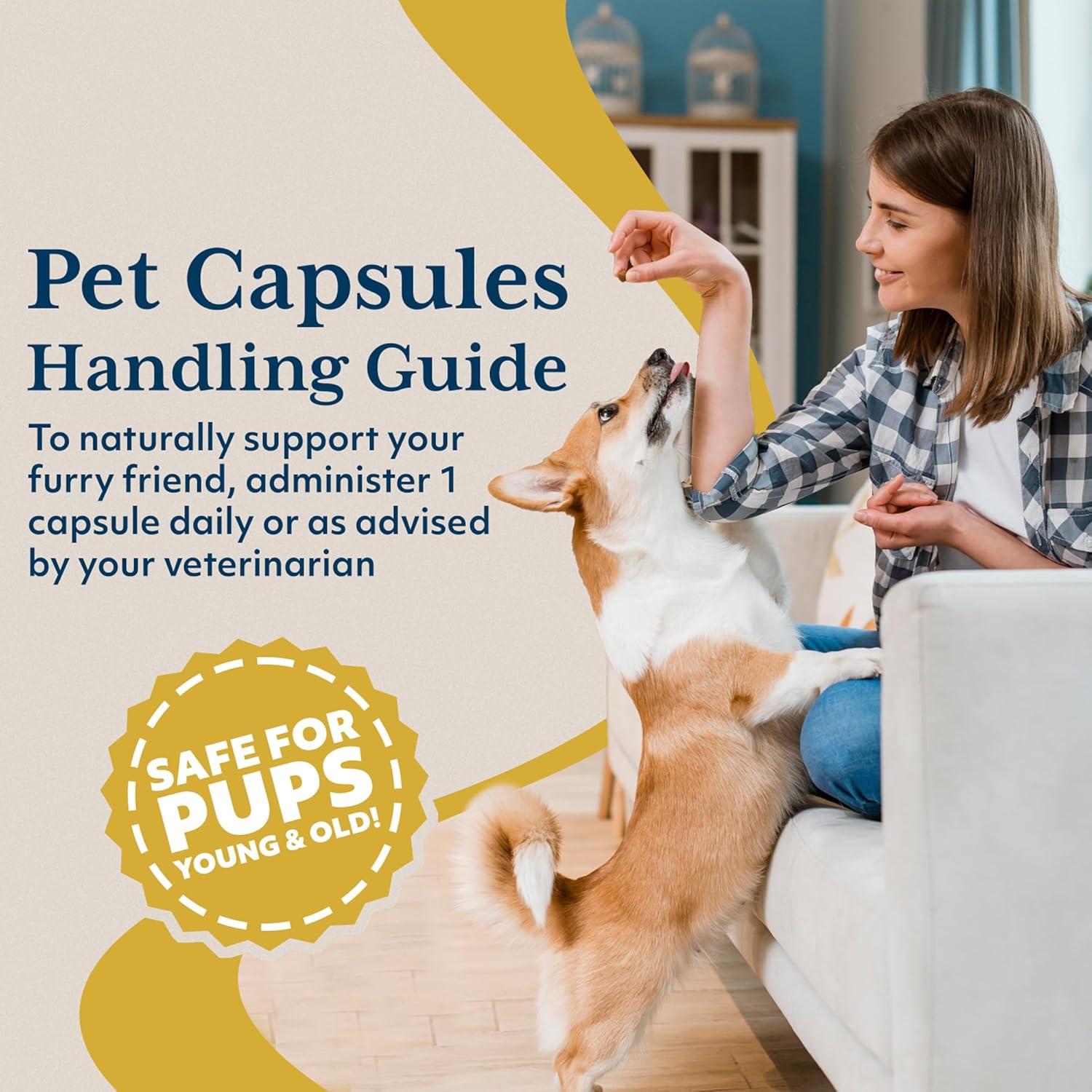 Cápsulas de Ashwagandha Ayush Pet 500mg para Perros y Gatos - 120 Unidades