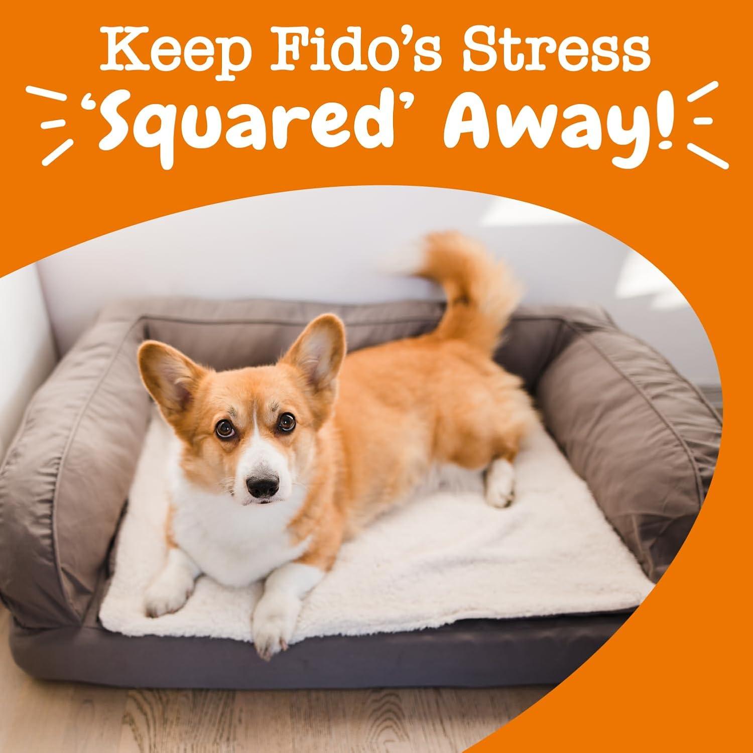 Golosinas Calmantes para Perros Zesty Paws 20 oz - Alivio Estrés