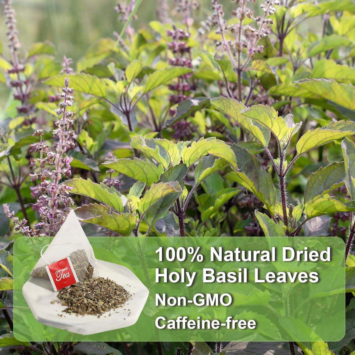 Té de Albahaca Sagrada FullChea - 40 Bolsitas 2g - Sin Cafeína