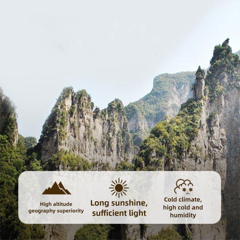 Rodajas de Raíz de Dong Quai 160g - Angelica Sinensis Premium