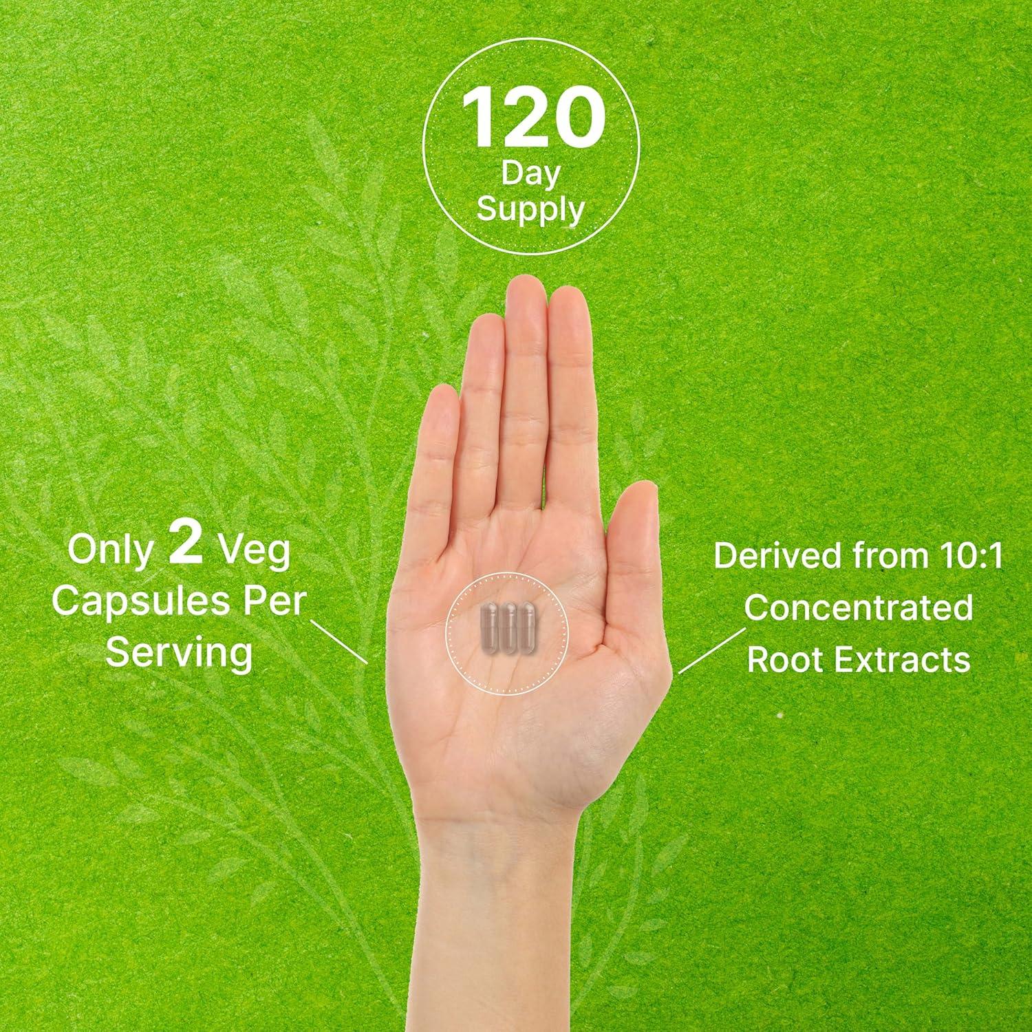 Suplemento Adaptogénico Deal Rhodiola Rosea 5000mg 240 Cápsulas Veganas