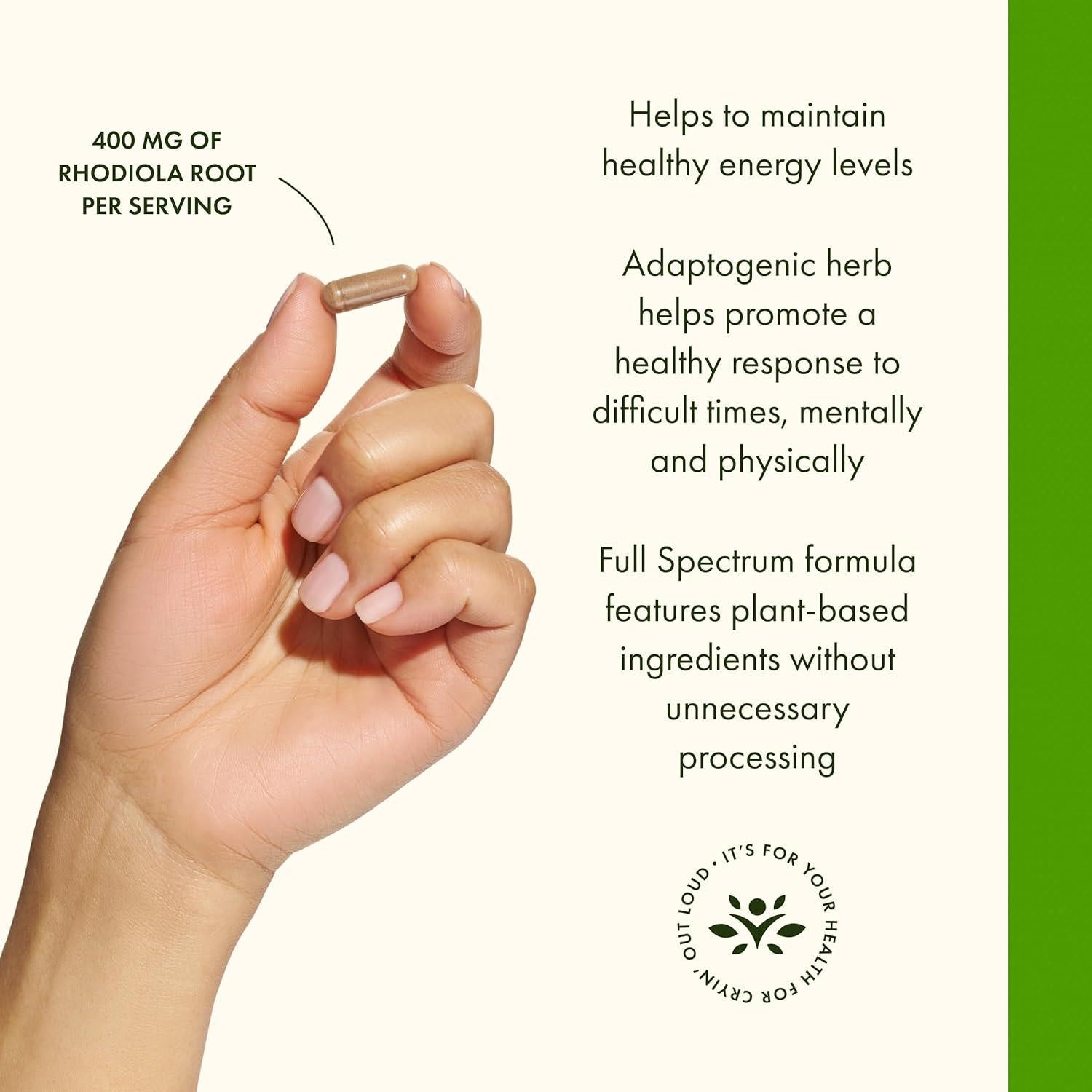 Suplemento Herbal Raíz de Rhodiola Rosea Swanson 400 mg 100 Cápsulas