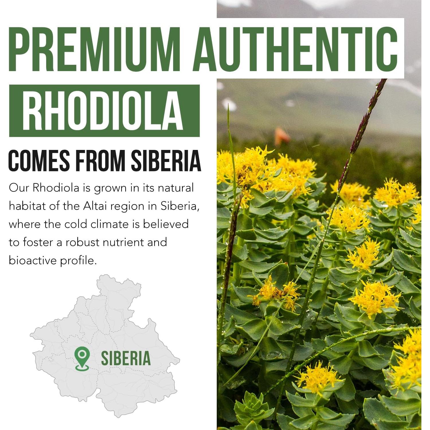 Max Strength Rhodiola Rosea 60 cápsulas - 5% Rosavins, 2% Salidroside