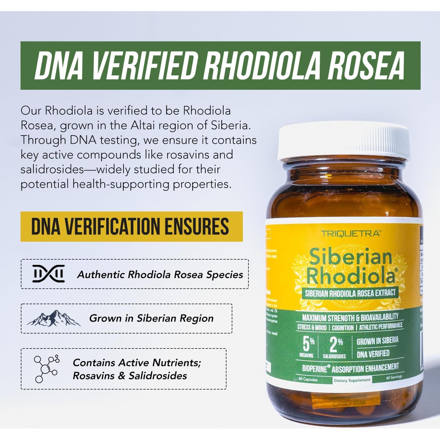 Max Strength Rhodiola Rosea 60 cápsulas - 5% Rosavins, 2% Salidroside