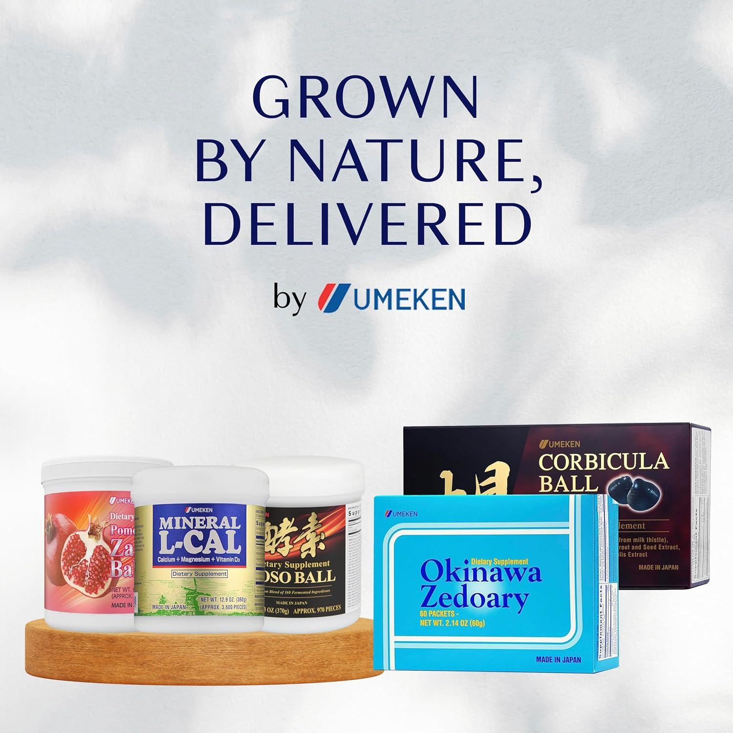 Suplemento de Cúrcuma Umeken Okinawa 120g - 60 Tabletas